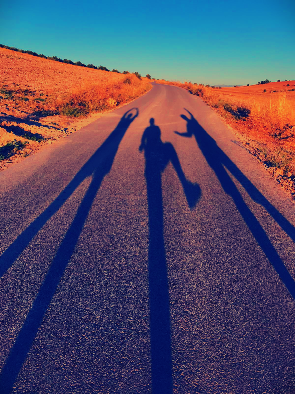 CAMPAÑA DE VISIBILIDAD EN LA PROVINCIA DE GRANADA