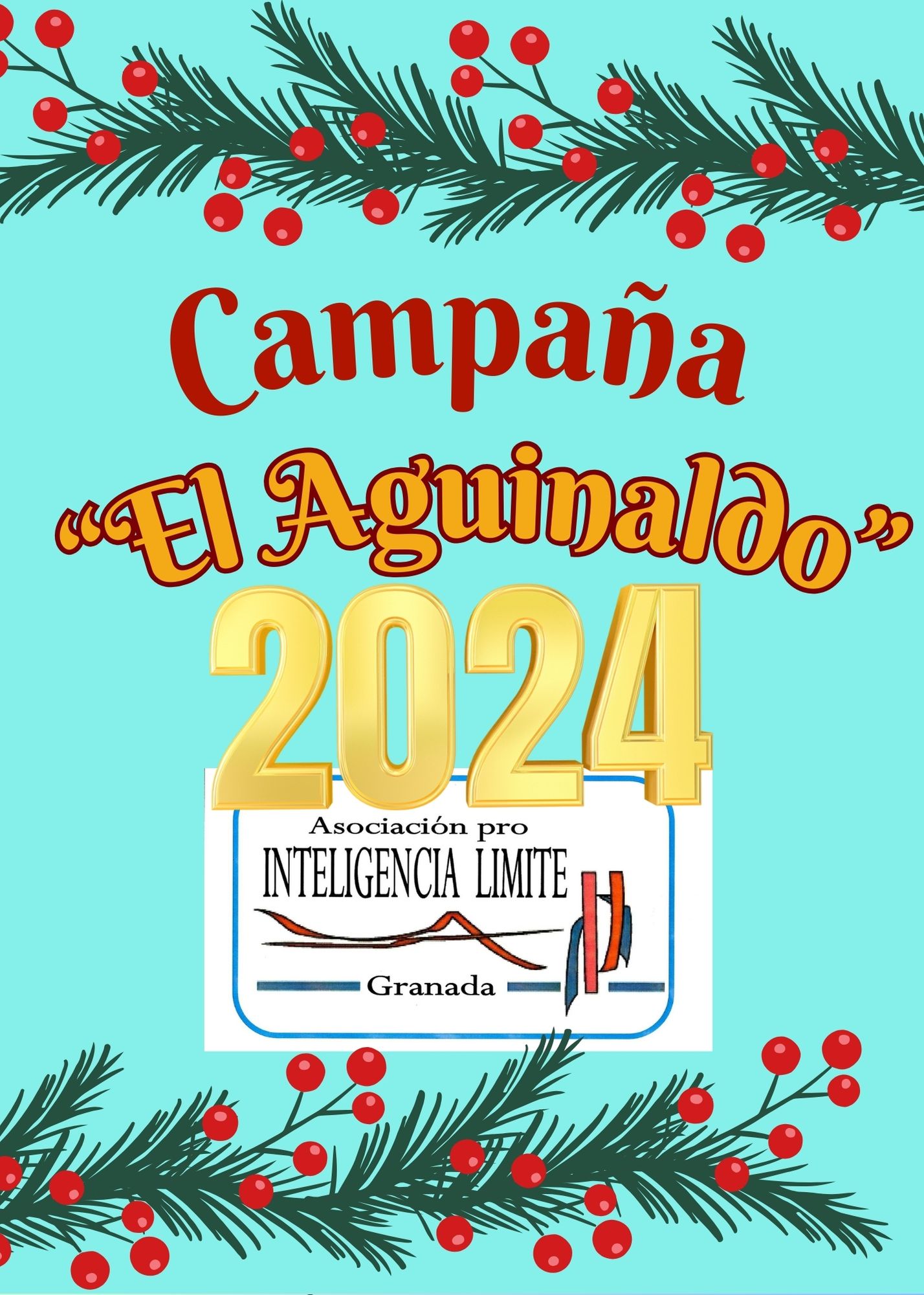Campaña » EL AGUINALDO 2024″